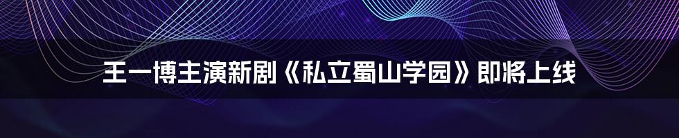 王一博主演新剧《私立蜀山学园》即将上线