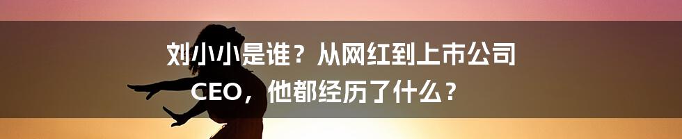 刘小小是谁？从网红到上市公司 CEO，他都经历了什么？