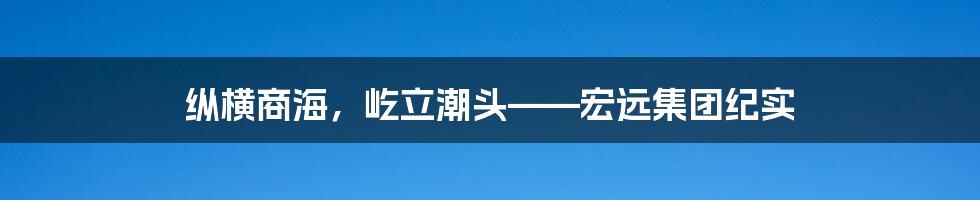 纵横商海，屹立潮头——宏远集团纪实