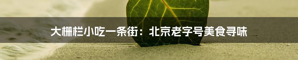 大栅栏小吃一条街：北京老字号美食寻味