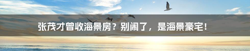 张茂才曾收海景房？别闹了，是海景豪宅！