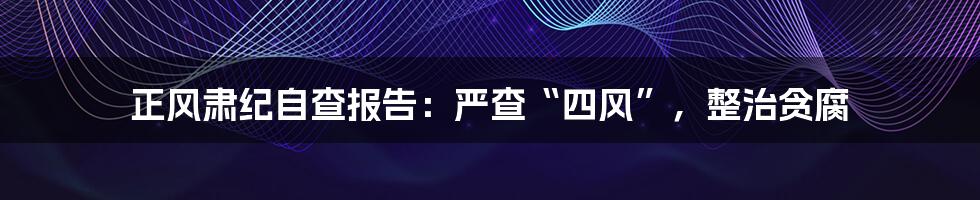 正风肃纪自查报告：严查“四风”，整治贪腐