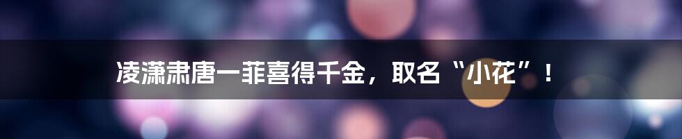 凌潇肃唐一菲喜得千金，取名“小花”！