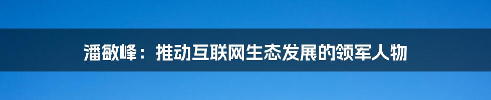 潘敏峰：推动互联网生态发展的领军人物