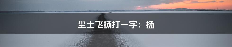 尘土飞扬打一字：扬