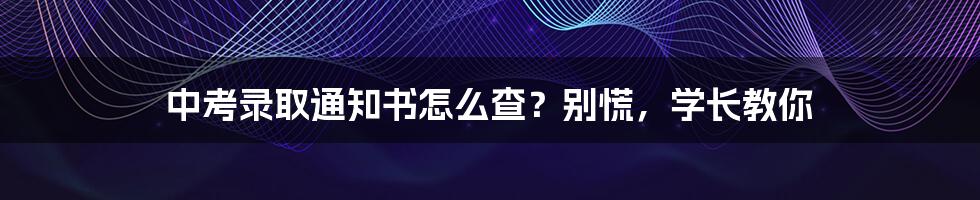 中考录取通知书怎么查？别慌，学长教你