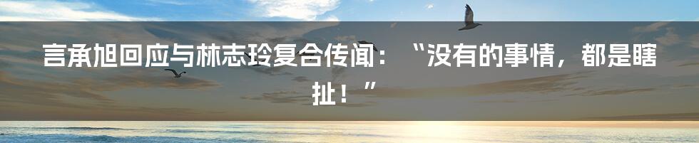 言承旭回应与林志玲复合传闻：“没有的事情，都是瞎扯！”