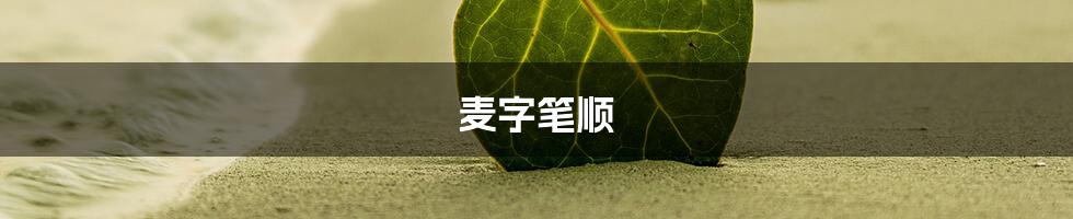 麦字笔顺