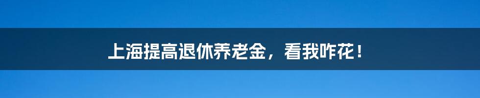 上海提高退休养老金，看我咋花！