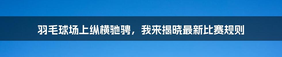 羽毛球场上纵横驰骋，我来揭晓最新比赛规则