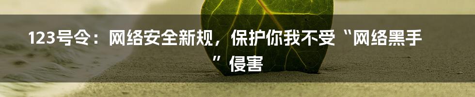 123号令：网络安全新规，保护你我不受“网络黑手”侵害