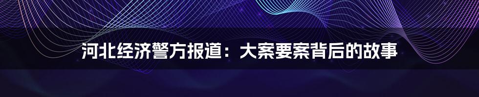 河北经济警方报道：大案要案背后的故事