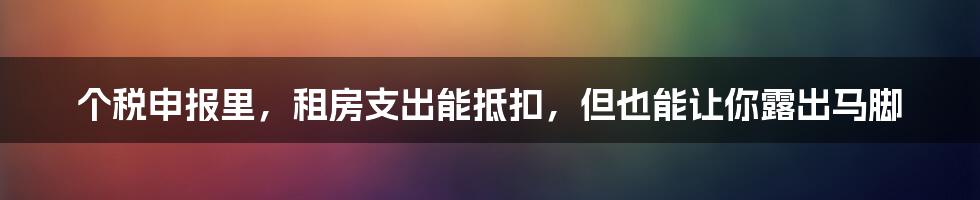 个税申报里，租房支出能抵扣，但也能让你露出马脚