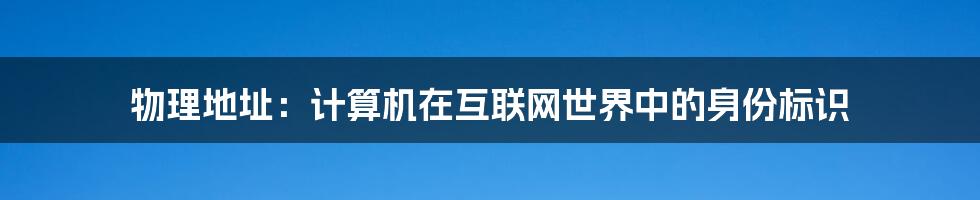 物理地址：计算机在互联网世界中的身份标识