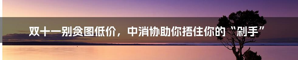 双十一别贪图低价，中消协助你捂住你的“剁手”