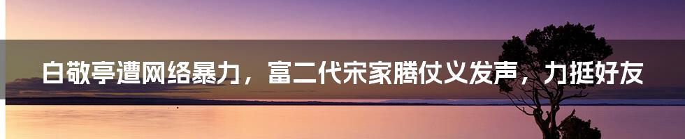 白敬亭遭网络暴力，富二代宋家腾仗义发声，力挺好友