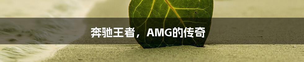 奔驰王者，AMG的传奇