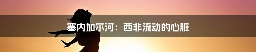 塞内加尔河：西非流动的心脏