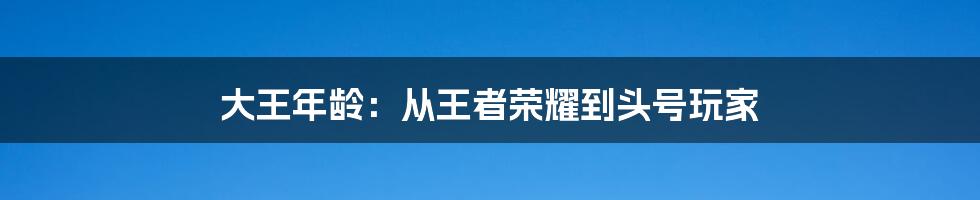 大王年龄：从王者荣耀到头号玩家