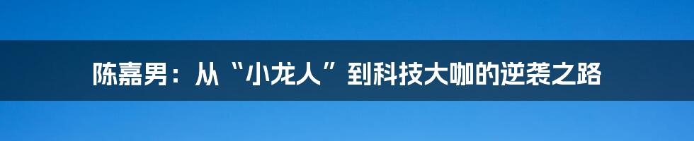 陈嘉男：从“小龙人”到科技大咖的逆袭之路