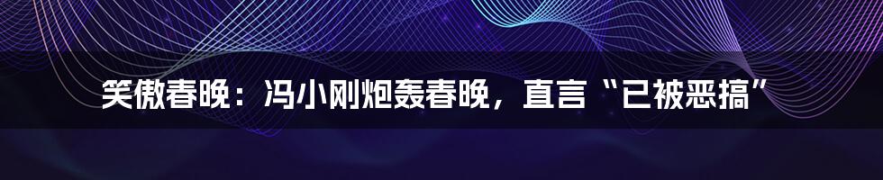 笑傲春晚：冯小刚炮轰春晚，直言“已被恶搞”