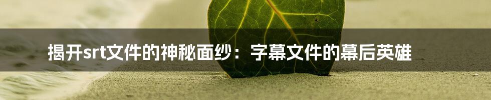 揭开srt文件的神秘面纱：字幕文件的幕后英雄