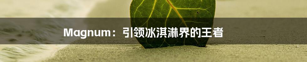 Magnum：引领冰淇淋界的王者