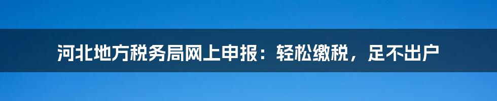 河北地方税务局网上申报：轻松缴税，足不出户