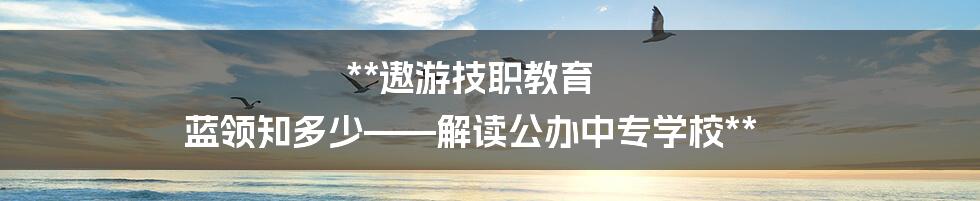 **遨游技职教育 蓝领知多少——解读公办中专学校**