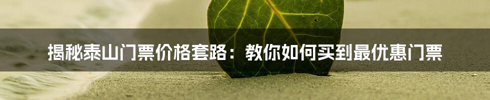 揭秘泰山门票价格套路：教你如何买到最优惠门票