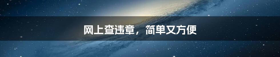 网上查违章，简单又方便