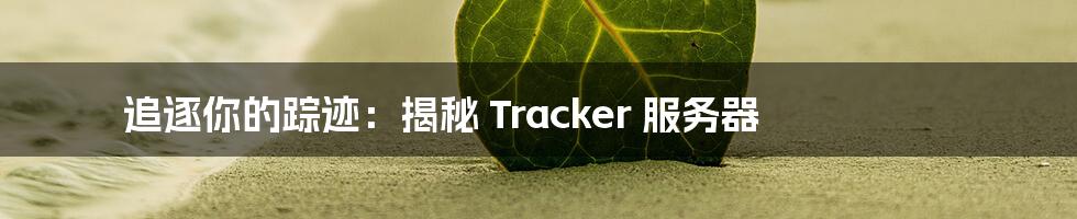 追逐你的踪迹：揭秘 Tracker 服务器