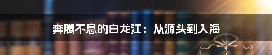 奔腾不息的白龙江：从源头到入海