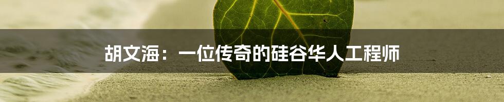 胡文海：一位传奇的硅谷华人工程师