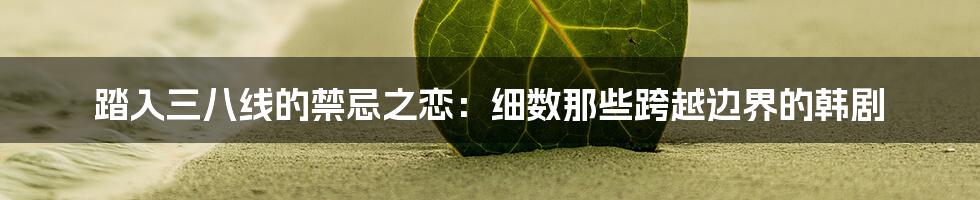 踏入三八线的禁忌之恋：细数那些跨越边界的韩剧