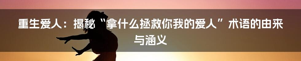 重生爱人：揭秘“拿什么拯救你我的爱人”术语的由来与涵义