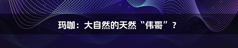 玛咖：大自然的天然“伟哥”？