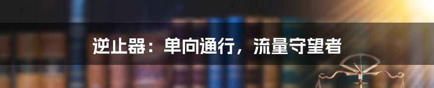 逆止器：单向通行，流量守望者