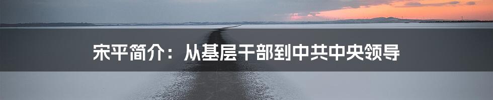 宋平简介：从基层干部到中共中央领导