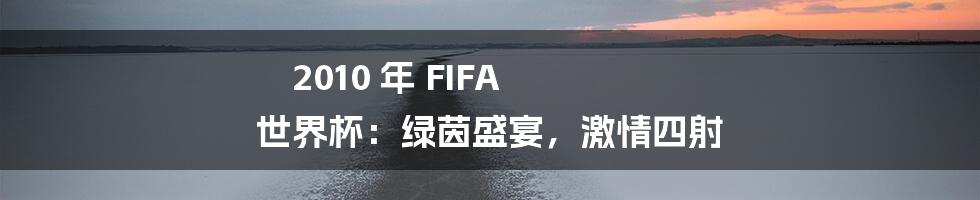 2010 年 FIFA 世界杯：绿茵盛宴，激情四射