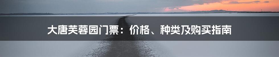 大唐芙蓉园门票：价格、种类及购买指南