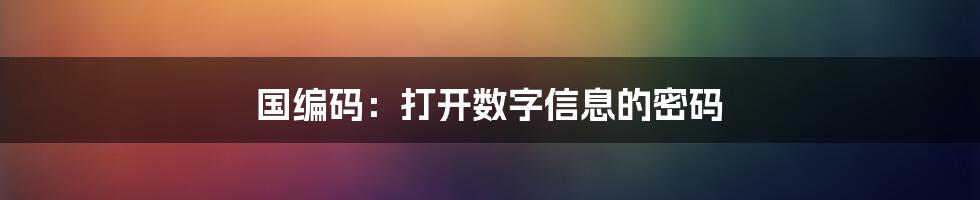 国编码：打开数字信息的密码