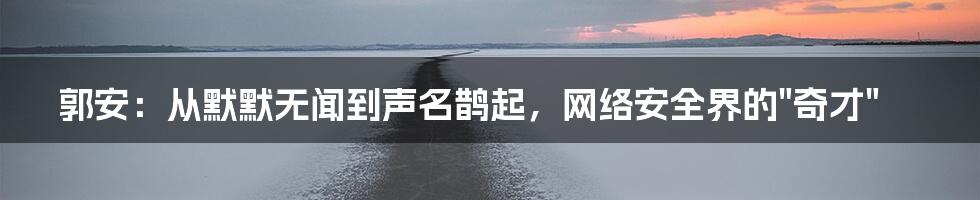 郭安：从默默无闻到声名鹊起，网络安全界的"奇才"