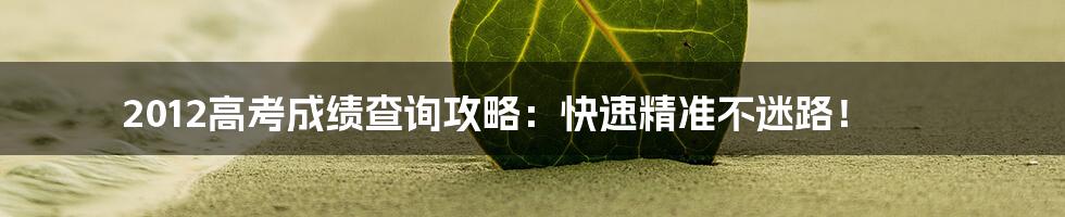 2012高考成绩查询攻略：快速精准不迷路！