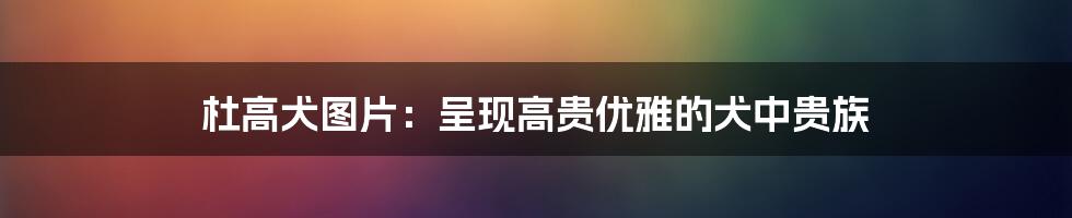 杜高犬图片：呈现高贵优雅的犬中贵族