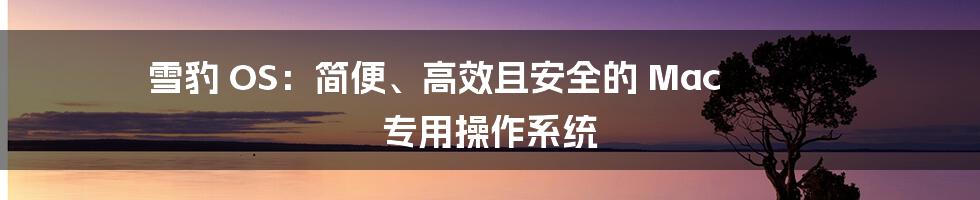 雪豹 OS：简便、高效且安全的 Mac 专用操作系统