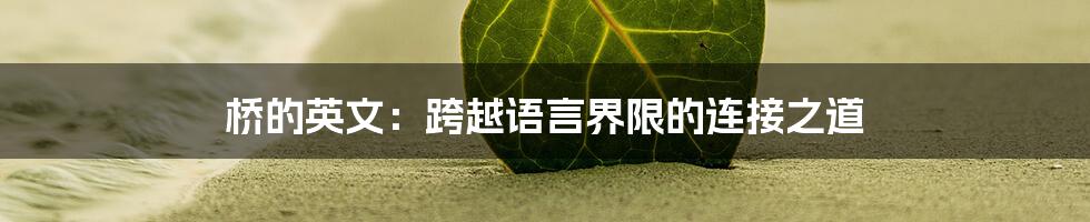 桥的英文：跨越语言界限的连接之道