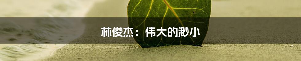 林俊杰：伟大的渺小