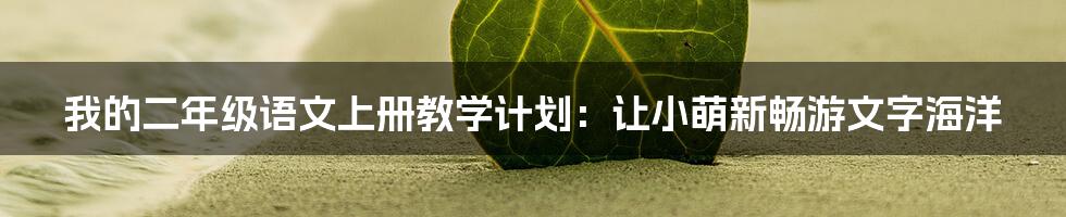 我的二年级语文上册教学计划：让小萌新畅游文字海洋