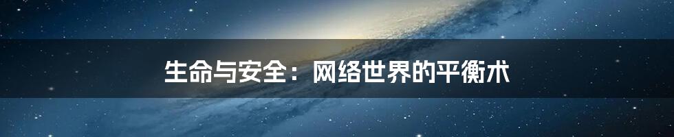 生命与安全：网络世界的平衡术